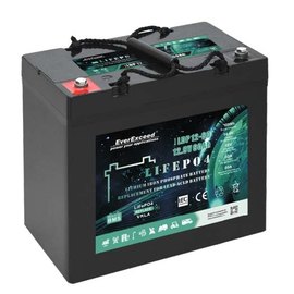 Аккумуляторная батарея EverExceed 12.8V 30Ah LDP 12-30