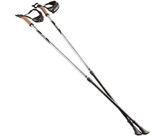 Палиці для скандинавської ходьби Silva EX-Pole Alu Adjustable, Grey (SLV 56065-000)