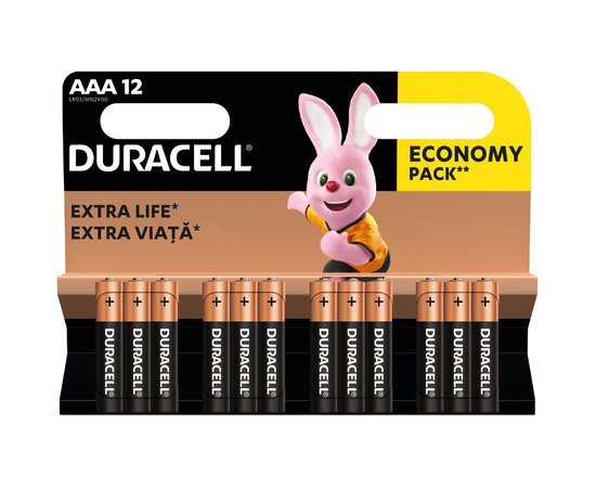 Батарейка Duracell AAA MN2400 1x12 шт (6409626)