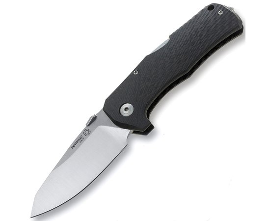 Карманный нож Lionsteel Solid LockBack Carbon Fiber Satin (TM1 CS)