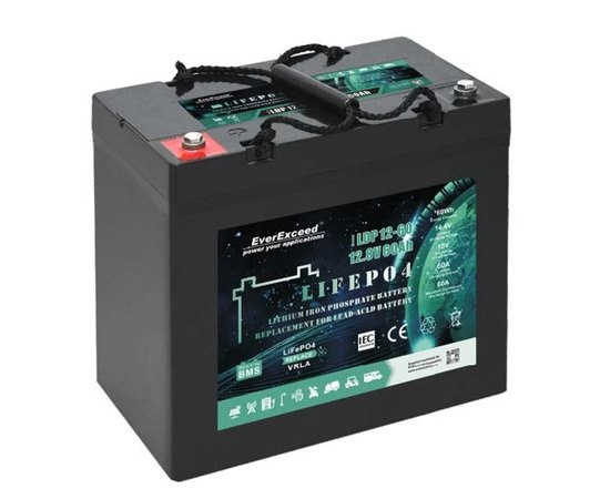 Акумуляторна батарея EverExceed 12.8V 24Ah LDP 12-24