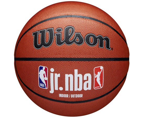 Мяч баскетбольный Wilson JR NBA Fam Logo Indoor Outdoor size 7 (WZ2009801XB7)