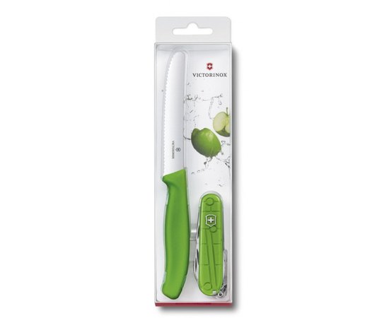 Набор Victorinox Color Twins green 1.8901.L4