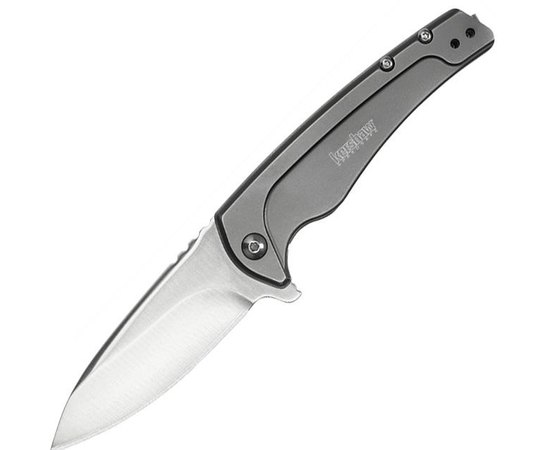 Нож Kershaw Intellect 1810