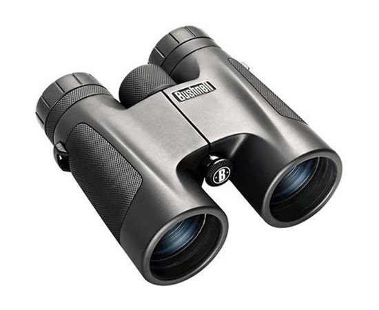 Бинокль Bushnell 10х32 PowerView 141032