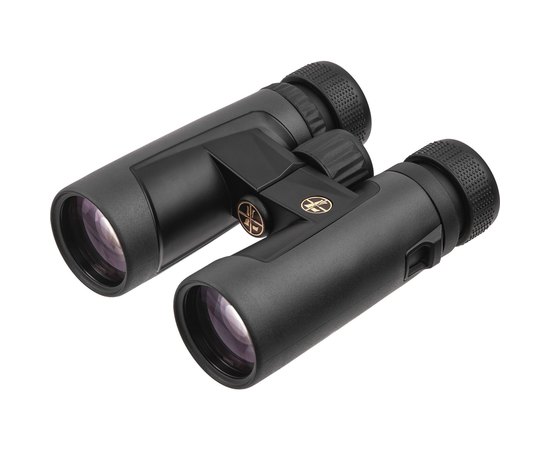 Бинокль Leupold BX-2 Alpine 10x42mm Roof Shadow Gray 176971