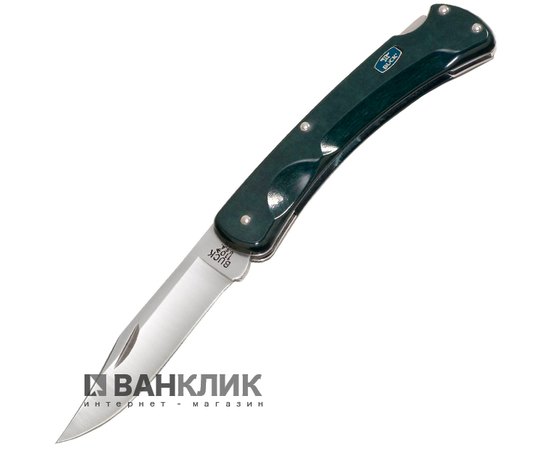 Нож Buck Folding Hunter Ecolite 110GRS4B